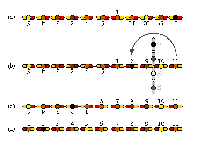 scenario example